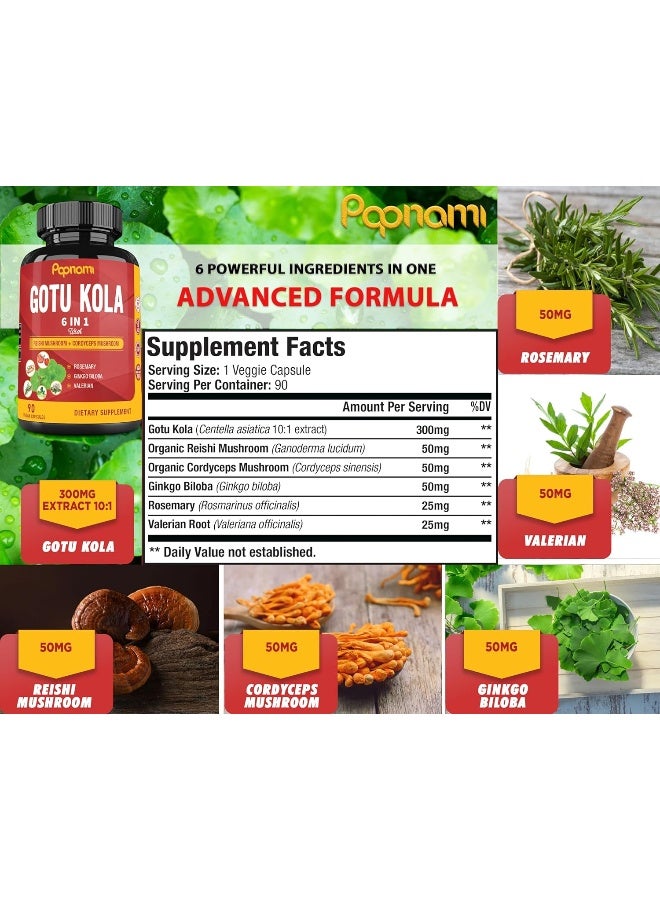 Papnami Organic Gotu Kola Extract Capsules Equivalent to 3200MG & Reishi, Cordyceps, Rosemary, Gingko Biloba, Valerian Powder | Brain Booster for Clarity Memory Focus| Nervous System Support, 3 Months Supply - Image 2